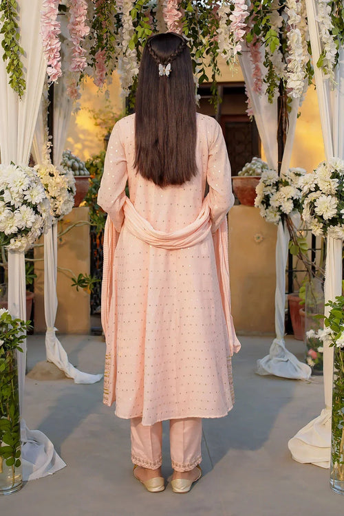 Best Slub Manar Embroidered 3 Pc Suit - Wear Ochre -