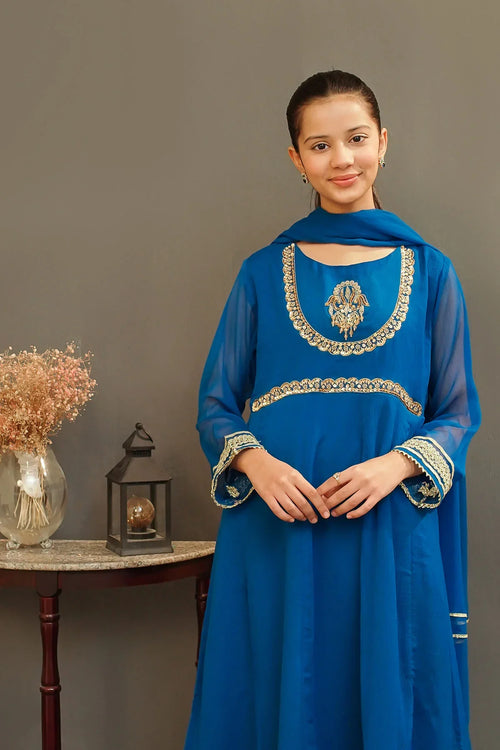 Best Chiffon Hand Adda Work 3 Pc Suit - Wear Ochre -