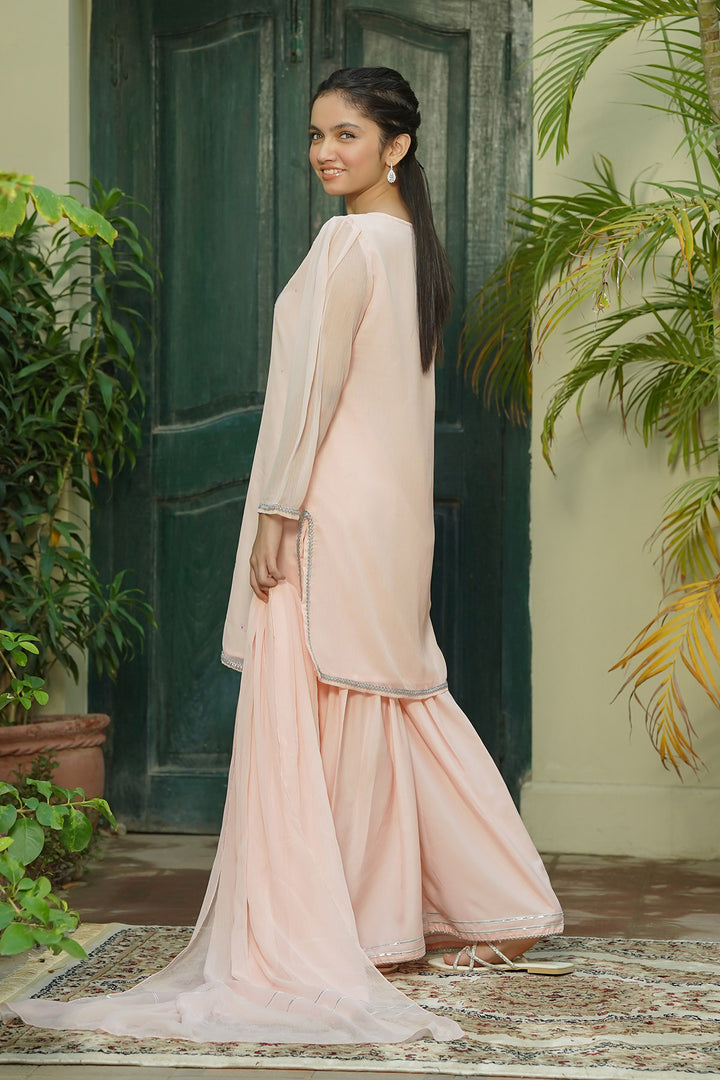 Chiffon Hand Adda Work 3 Pc Suit - Wear Ochre
