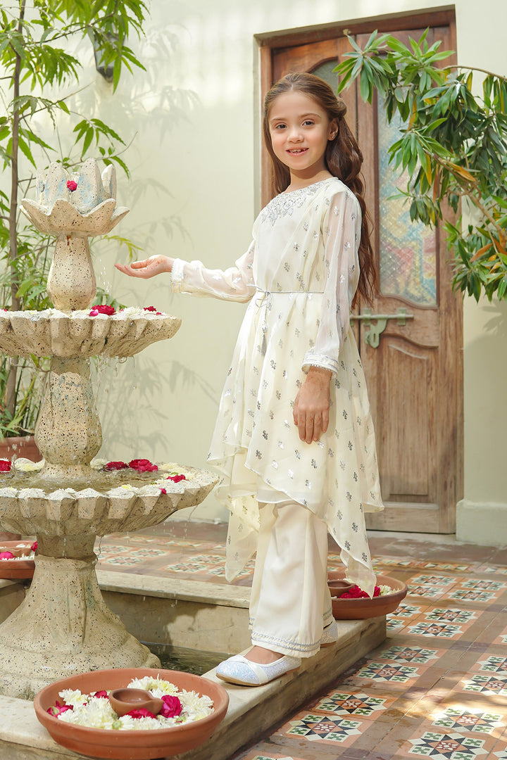 Chiffon Hand Adda Work 2 Pc Suit - Wear Ochre