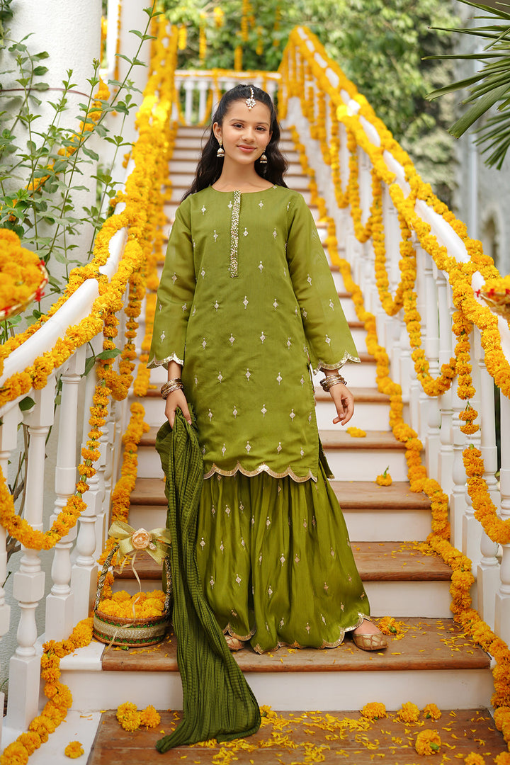 Paper Cotton Embroidered 3 Pc Suit - Wear Ochre