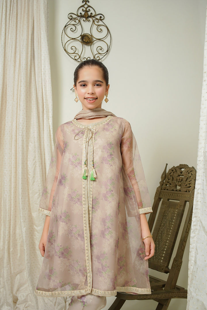 Organza Printed Embroidered 3 Pc Suit - Wear Ochre