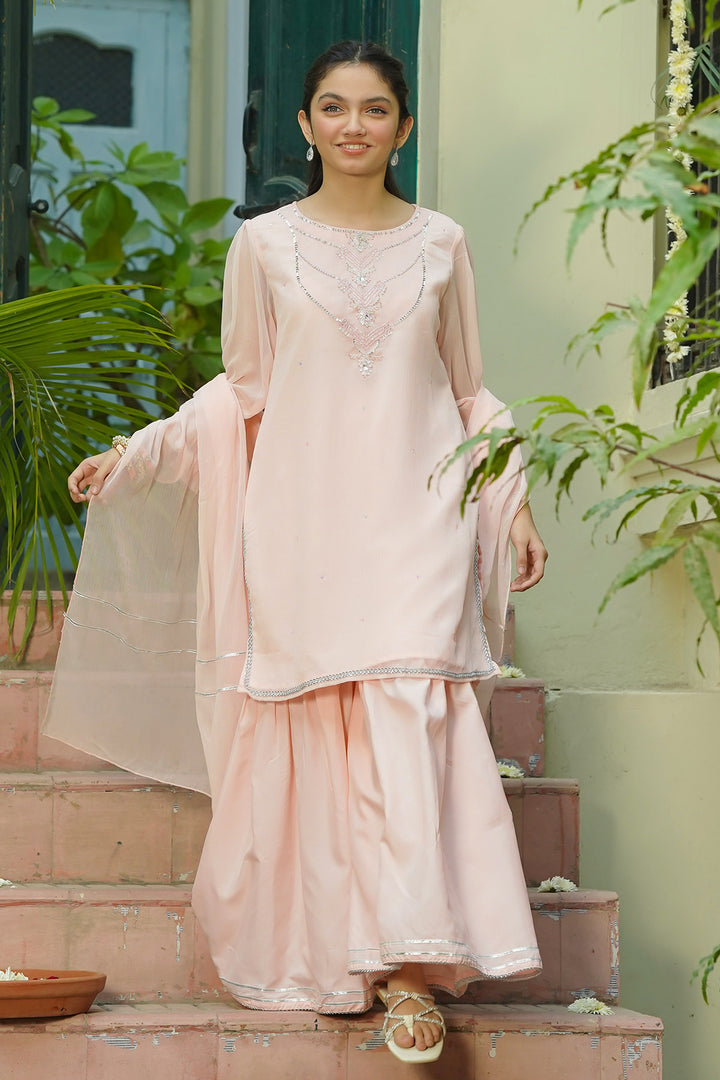 Chiffon Hand Adda Work 3 Pc Suit - Wear Ochre