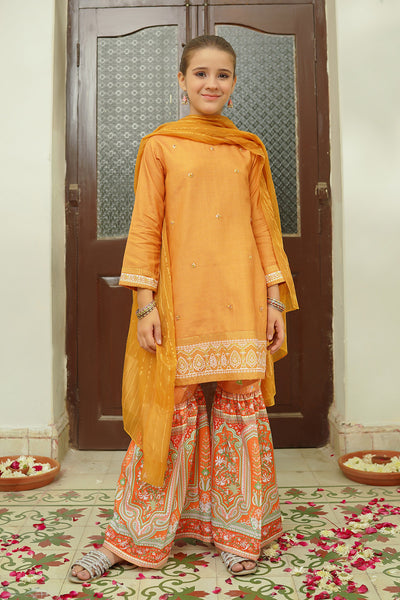 Cotton Silk Hand Adda Work 3 Pc Suit