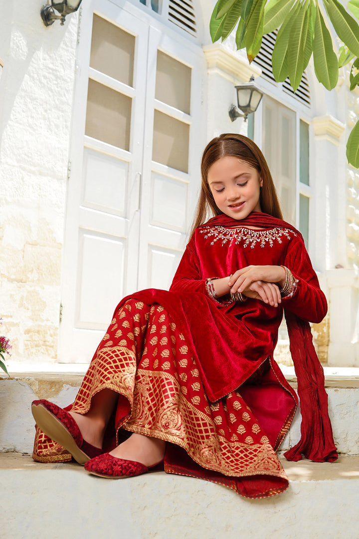 Velvet Hand Adda Work 3 Pc Suit - Wear Ochre