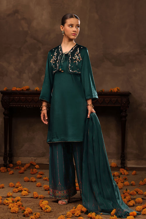 Velvet Hand Adda Work 3 Pc Suit