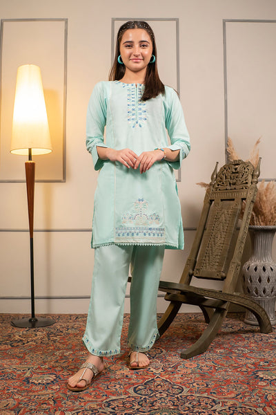 Cotton Embroidered 2 Pc Suit