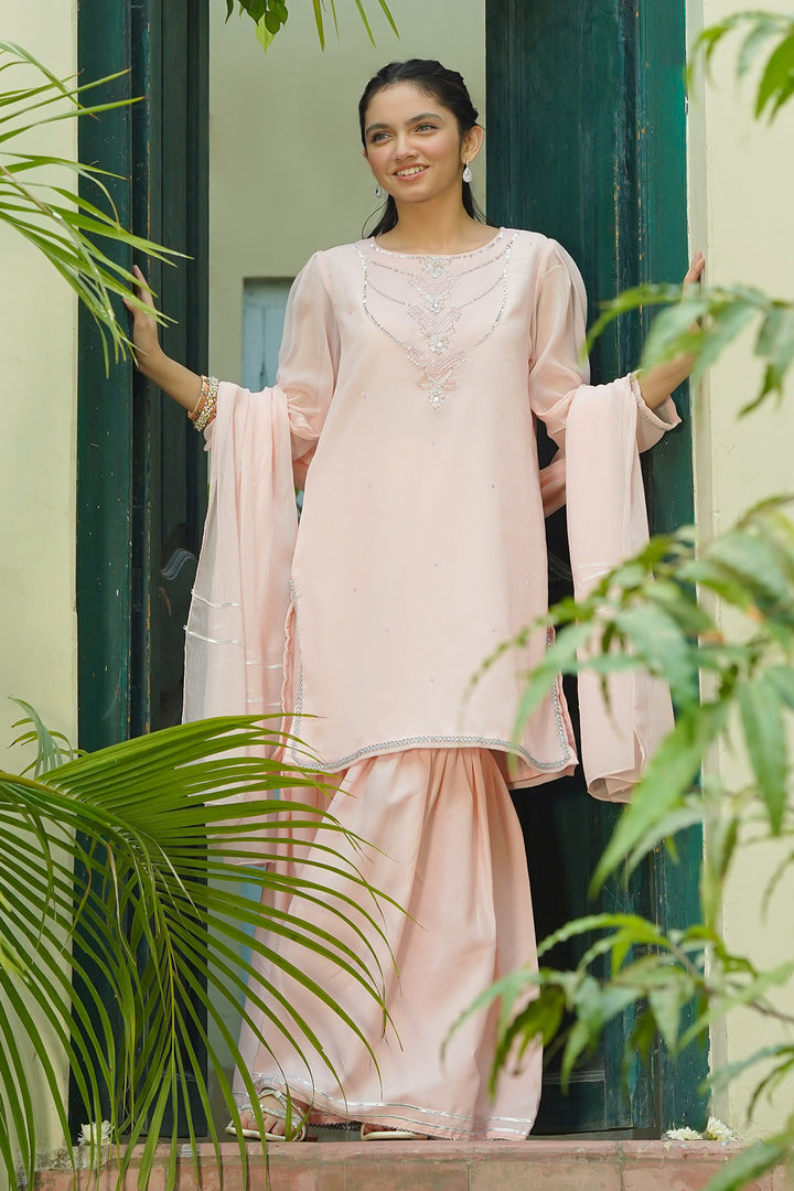 Chiffon Hand Adda Work 3 Pc Suit - Wear Ochre