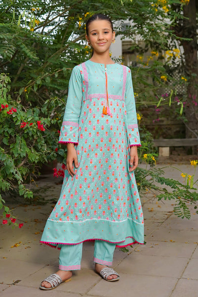 Cotton Printed 2 Pc Suits
