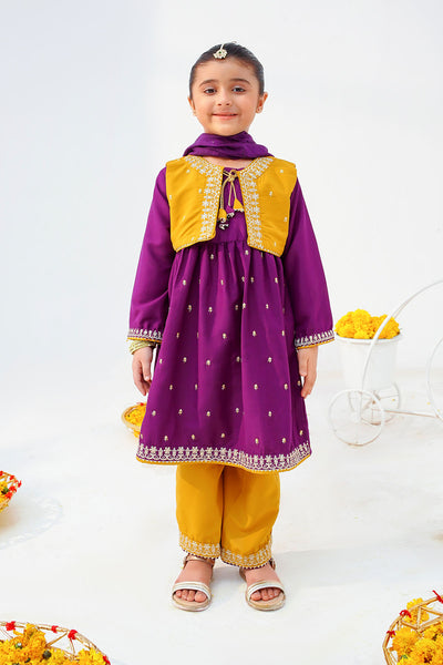 Raw Silk Embroidered 3 Pc Suit