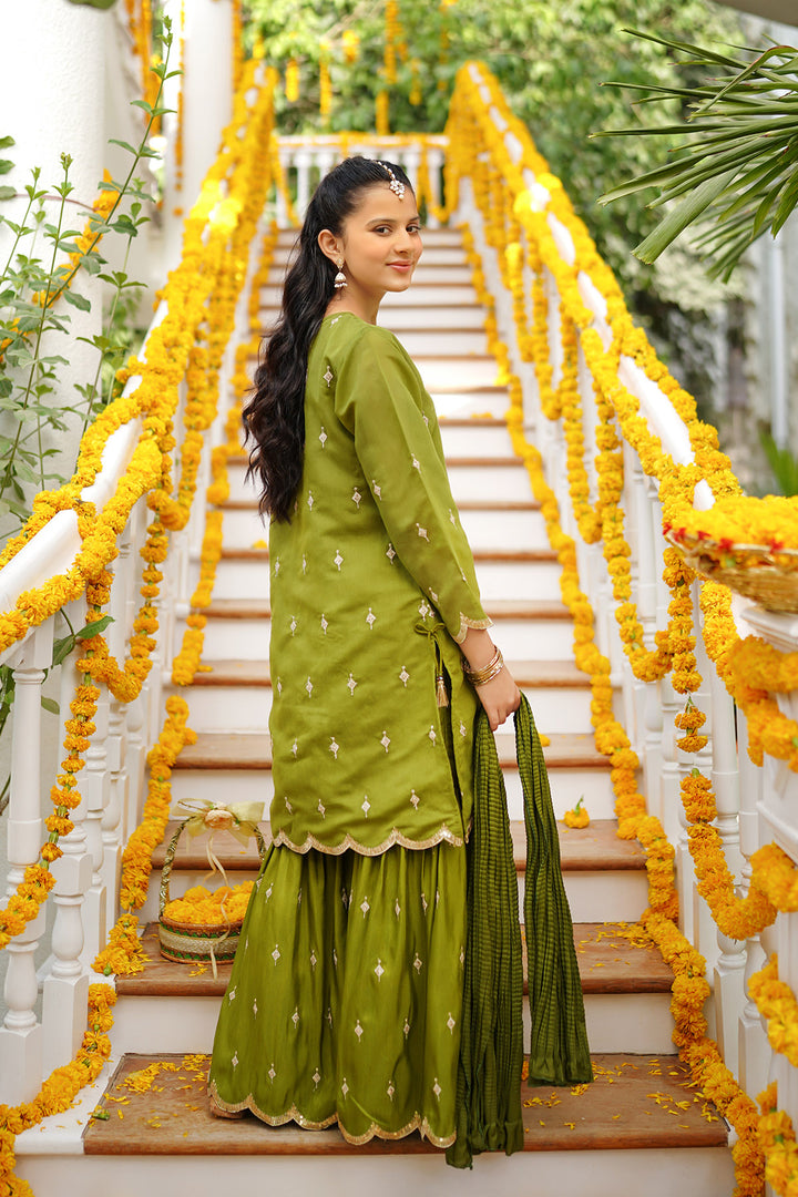 Paper Cotton Embroidered 3 Pc Suit - Wear Ochre