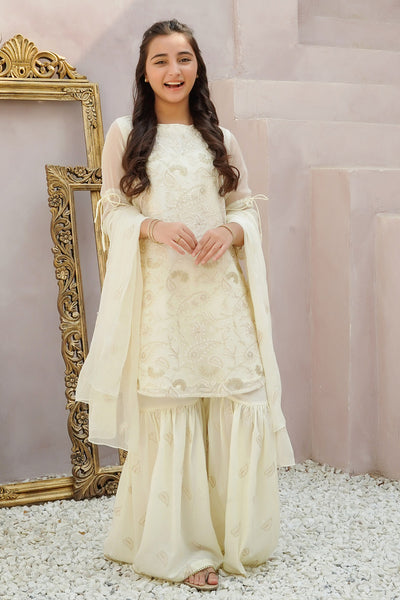 Chiffon Embroidered 3 Pc Suit