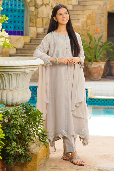 Chiffon Hand Adda Work 3 Pc Suit
