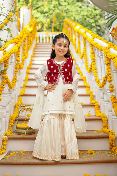 Chiffon & Velvet Embroidered 3 Pc Suit