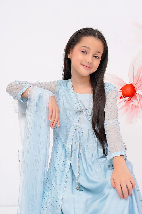 Girl in light blue embroidered dress with sheer overlay, perfect for kids' fashion and special occasions.