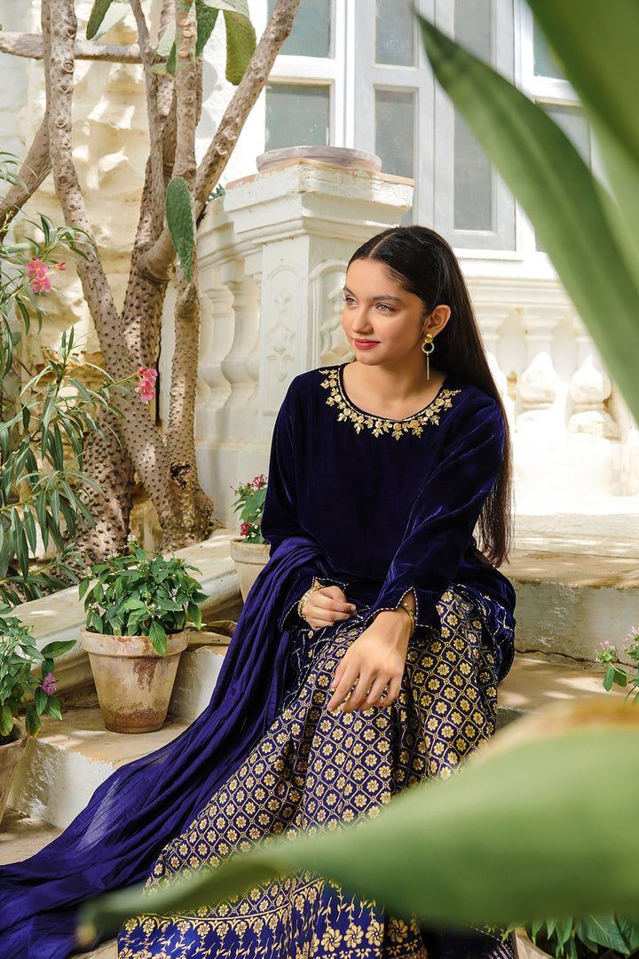 Velvet Hand Adda Work 3 Pc Suit - Wear Ochre