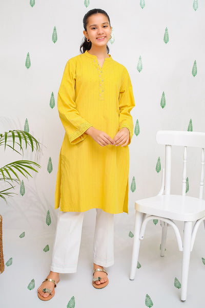 Cotton Broschia Embellished 2 Pc Suit