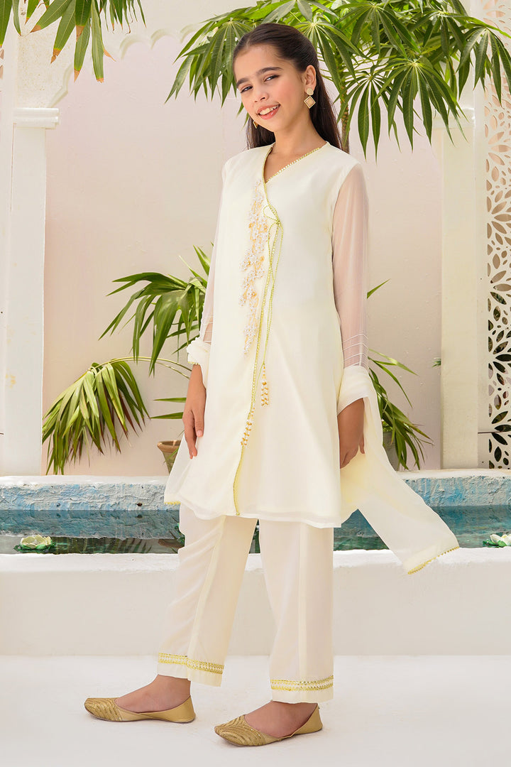 Chiffon Hand Adda Work 3 Pc Suit - Wear Ochre