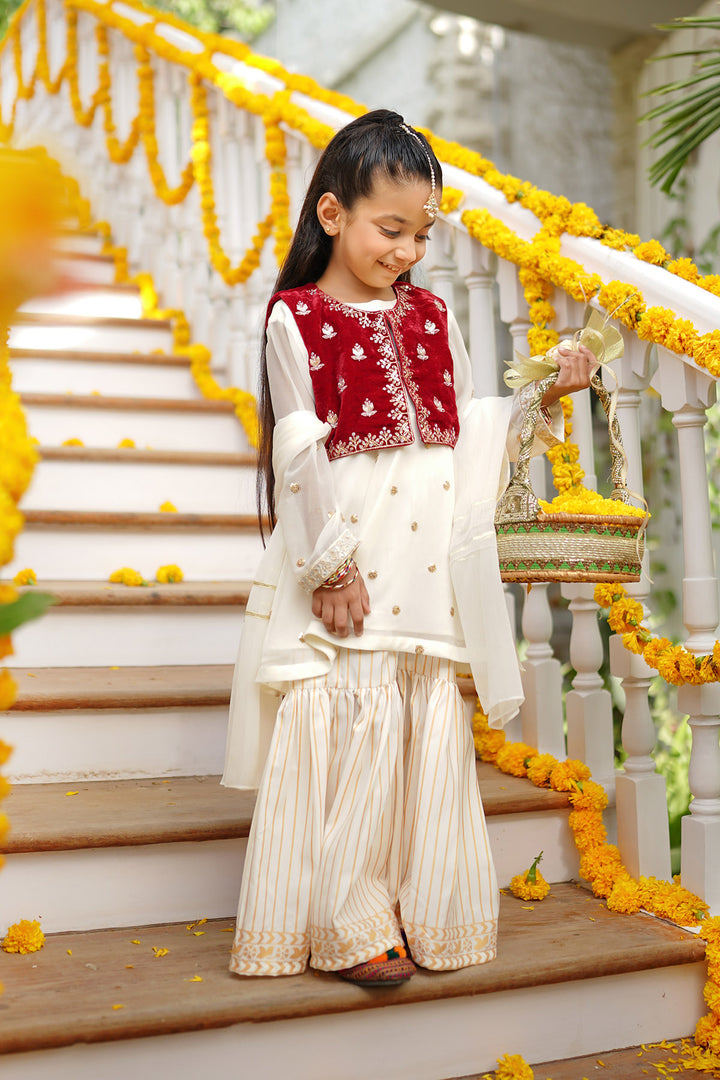 Chiffon & Velvet Embroidered 3 Pc Suit - Wear Ochre