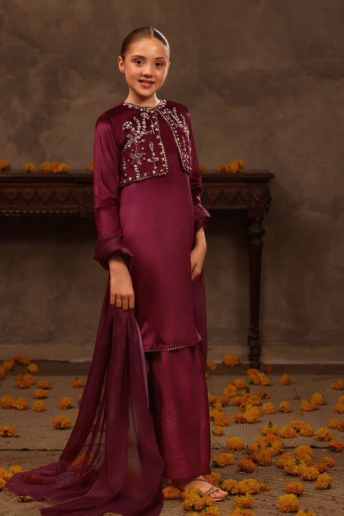 Velvet Hand Adda Work 3 Pc Suit