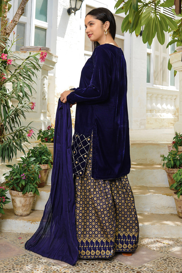 Velvet Hand Adda Work 3 Pc Suit - Wear Ochre