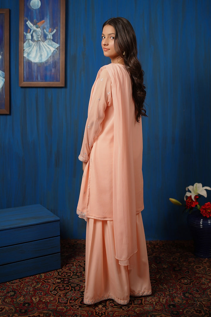 Chiffon Embroidered 3 Pc Suit - Wear Ochre