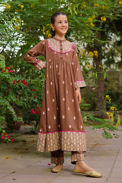Cotton Printed 2 Pc Suits