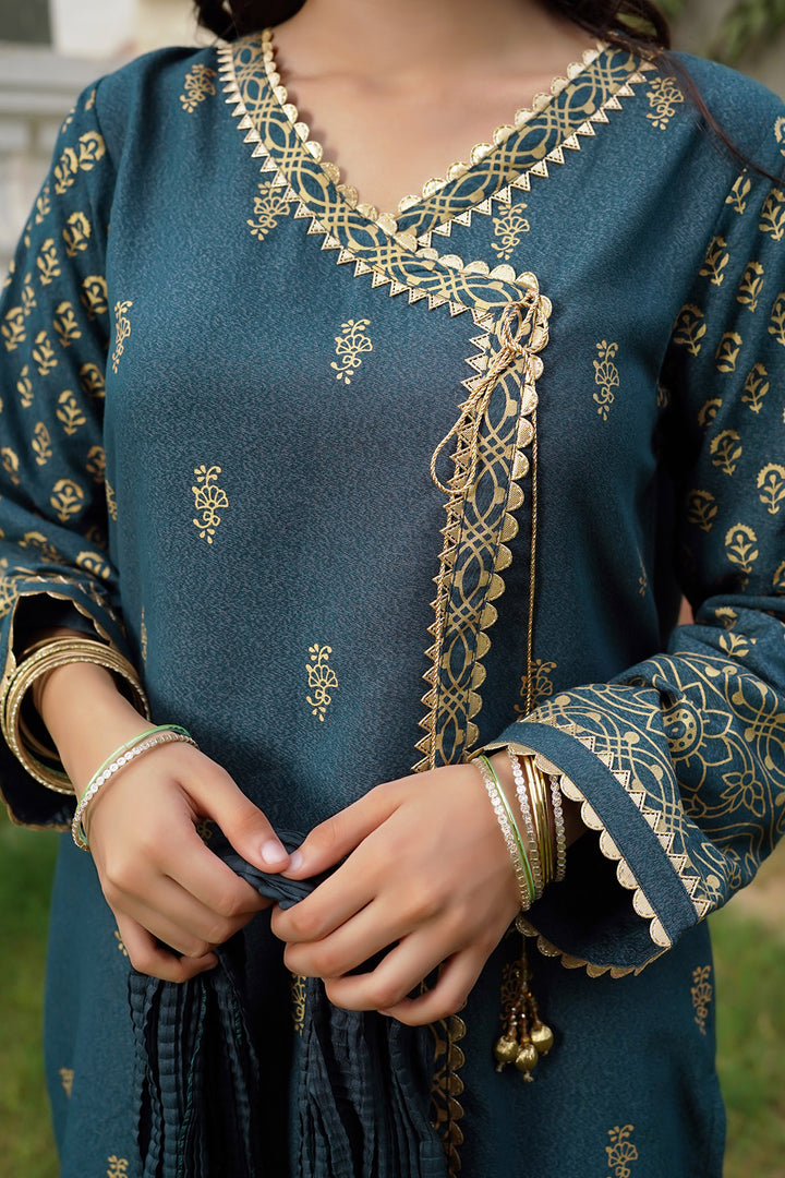 Cotton Karandi Printed 3 Pc Suit - Wear Ochre