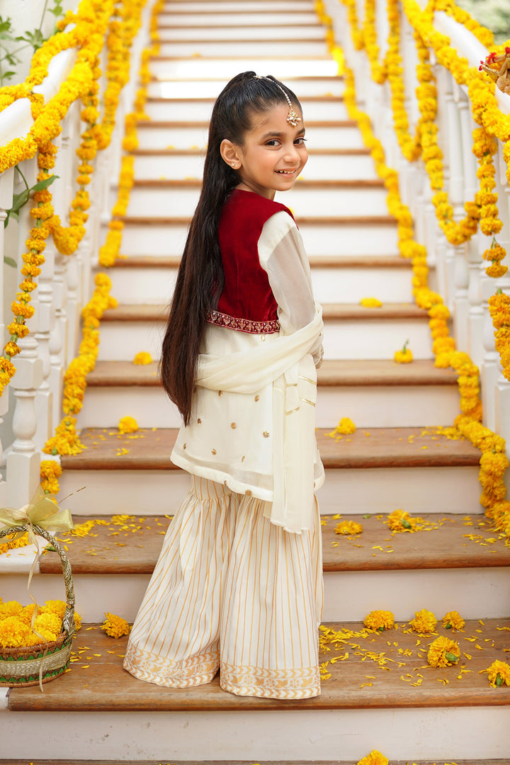Chiffon & Velvet Embroidered 3 Pc Suit - Wear Ochre