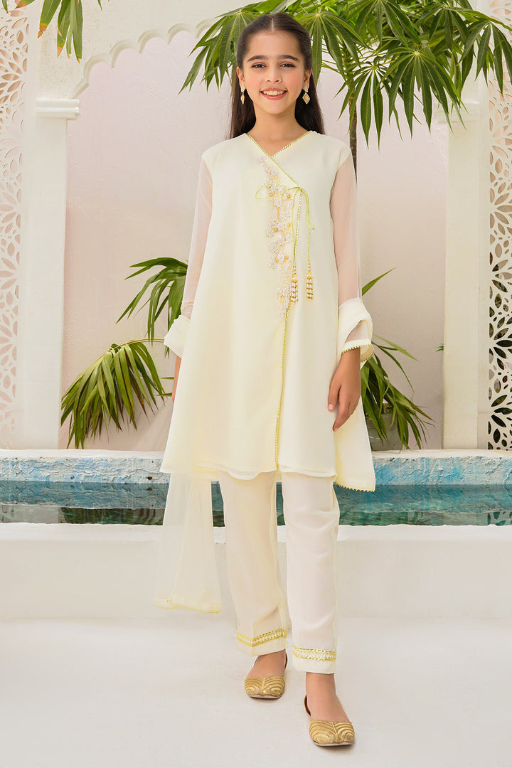 Chiffon Hand Adda Work 3 Pc Suit - Wear Ochre