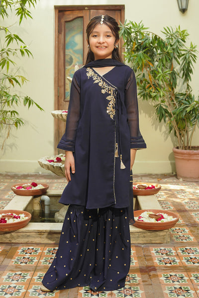 Chiffon Hand Adda Work 3 Pc Suit