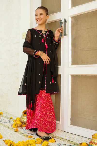 Chiffon Hand Adda Work 3 Pc Suit