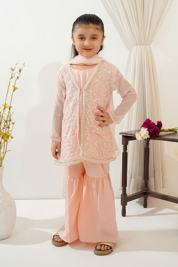 Chiffon Embroidered 3 Pc Suit