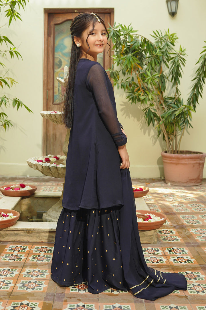 Chiffon Hand Adda Work 3 Pc Suit - Wear Ochre