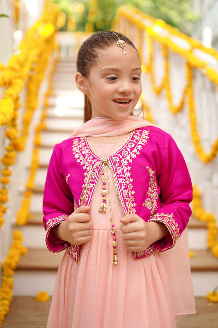 Chiffon Embroidered 3 Pc Suit - Wear Ochre