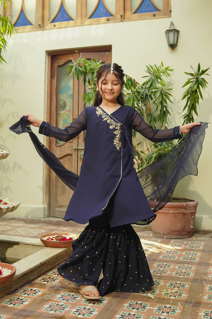 Chiffon Hand Adda Work 3 Pc Suit - Wear Ochre