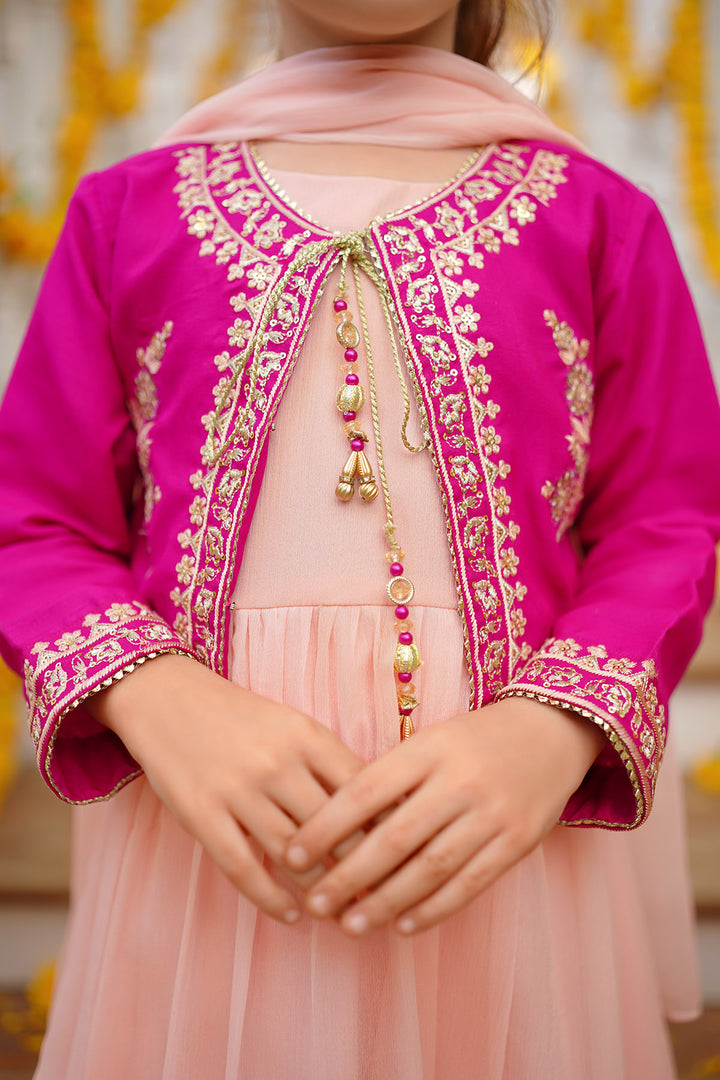 Chiffon Embroidered 3 Pc Suit - Wear Ochre