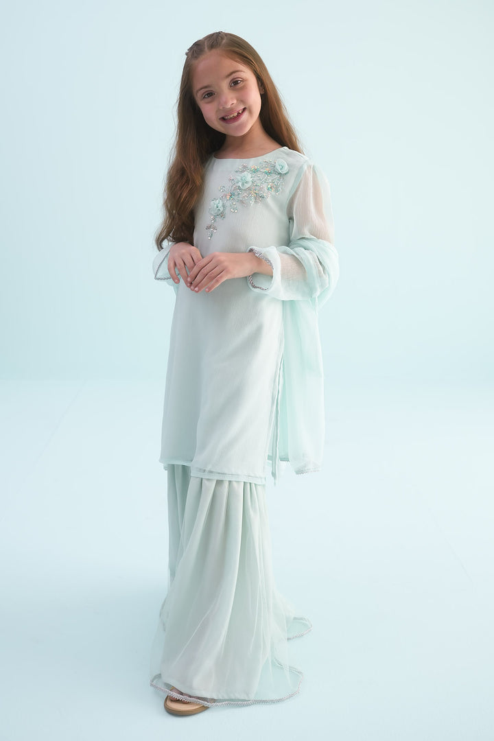 Chiffon Hand Adda Work 3 Pc Suit - Wear Ochre