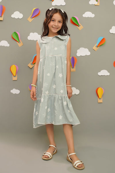 Printed Chambray Dress