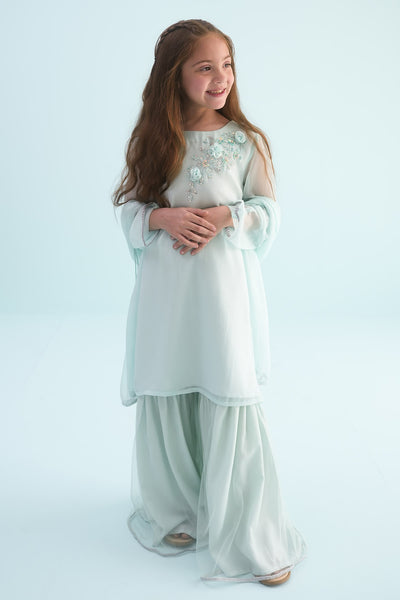 Chiffon Hand Adda Work 3 Pc Suit