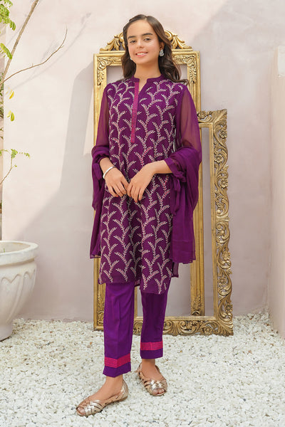 Chiffon Embroidered 3 Pc Suit