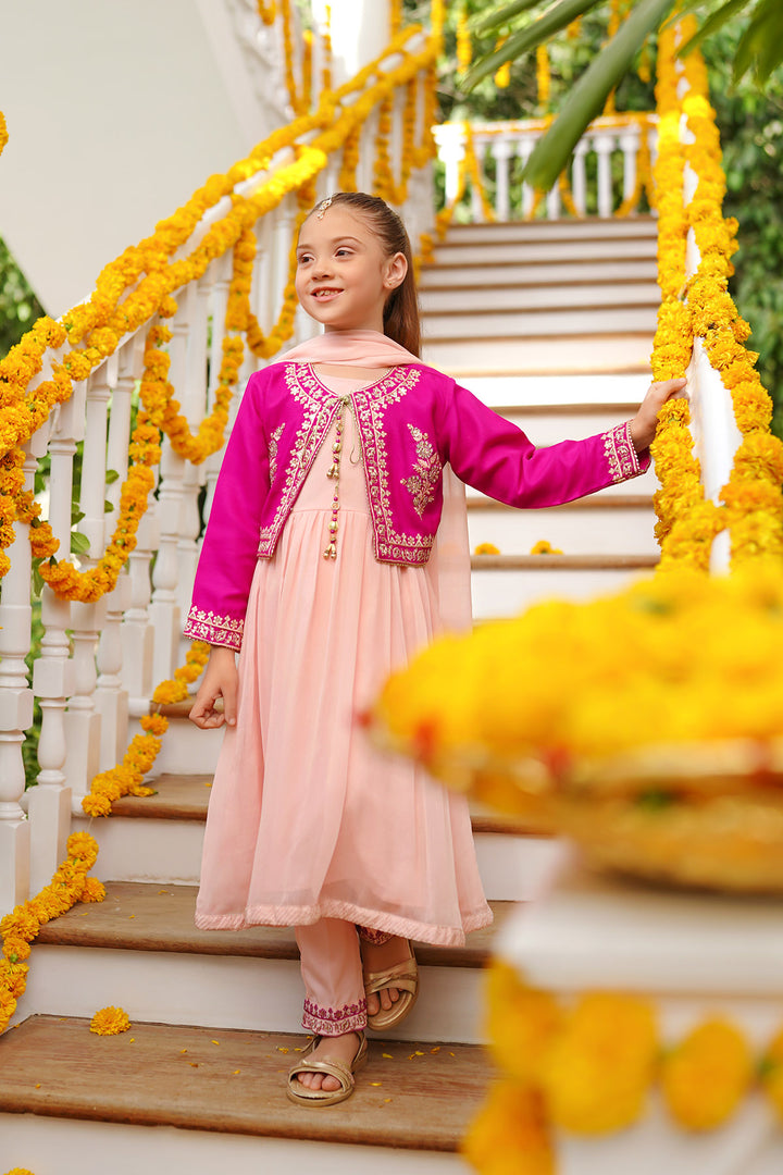 Chiffon Embroidered 3 Pc Suit - Wear Ochre