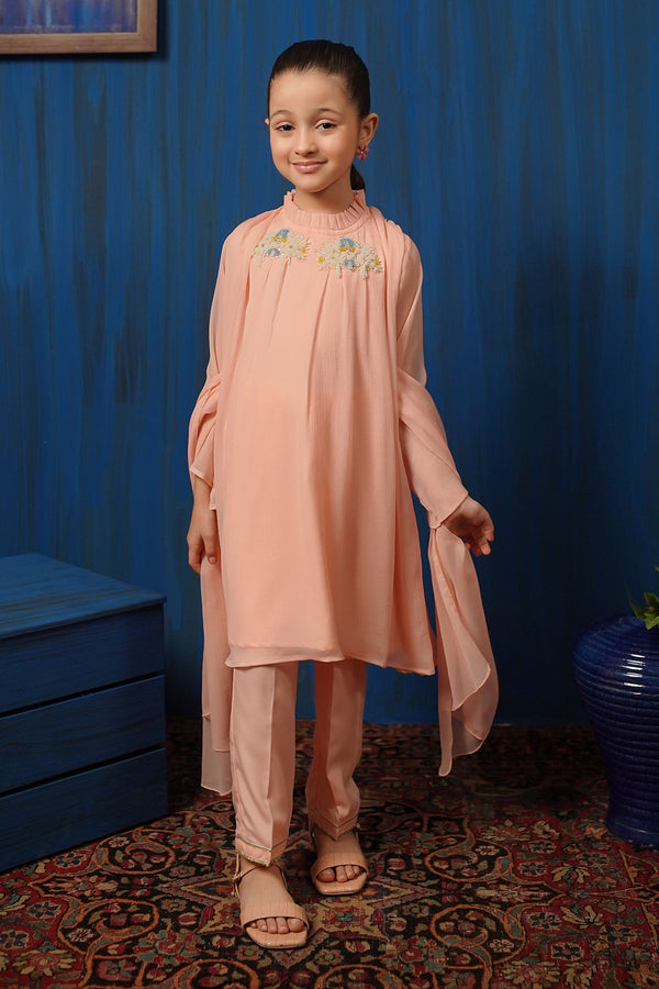 Chiffon Hand Adda Work 3 Pc Suit