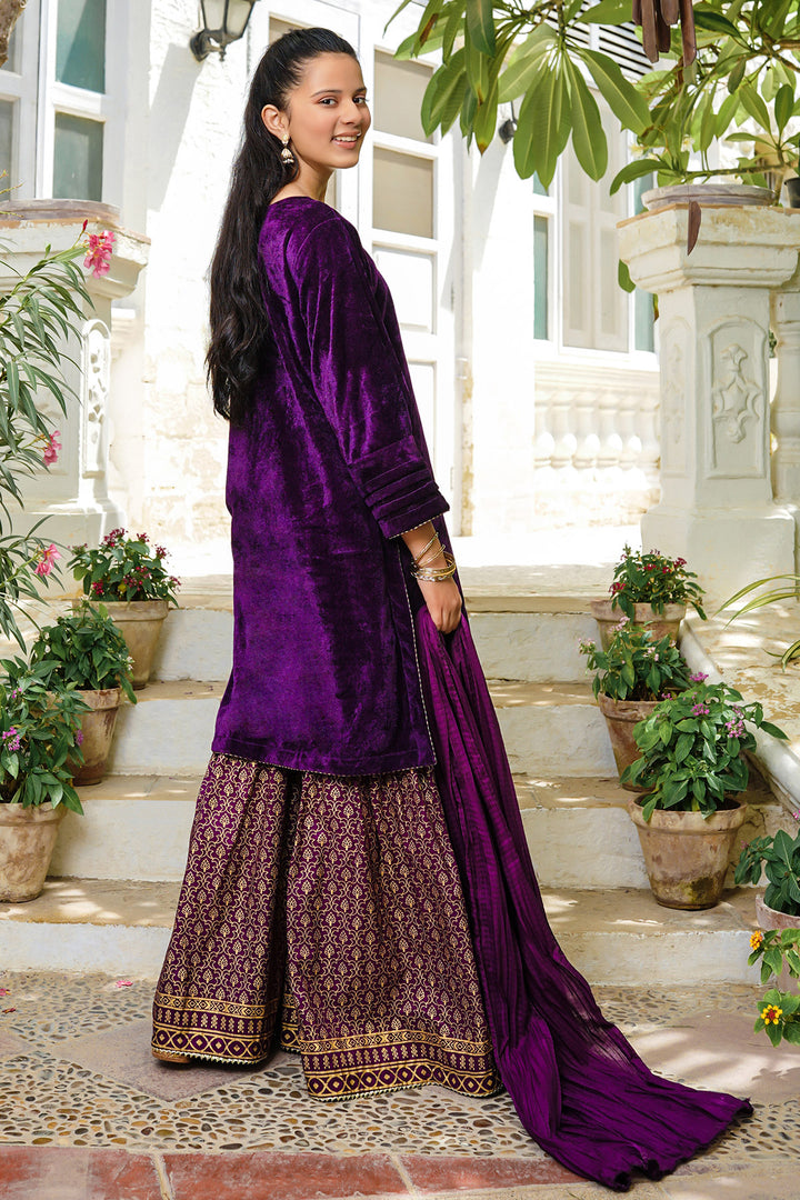 Velvet Hand Adda Work 3 Pc Suit - Wear Ochre