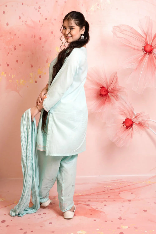 Best Cotton Embroidered 3 Pc Suit - Wear Ochre -