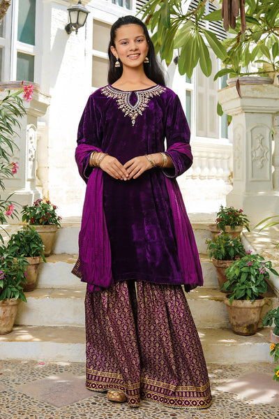 Velvet Hand Adda Work 3 Pc Suit