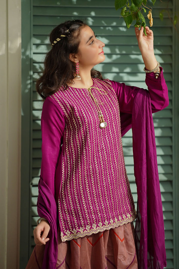 Raw Silk Embroidered 3 Pc Suit - Wear Ochre