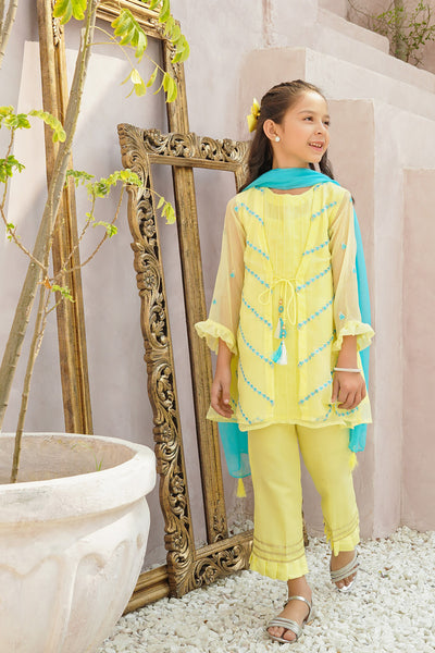 Chiffon Embroidered 3 Pc Suit