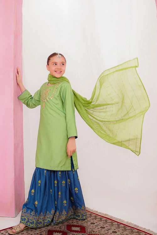 Best Cotton Silk Hand Adda Work 3 Pc Suit - Wear Ochre -