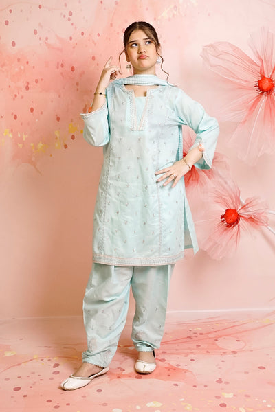 Cotton Embroidered 3 Pc Suit